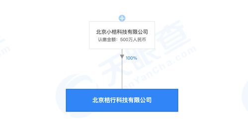滴滴成立桔行科技公司，注冊資本500萬元，聚焦信息技術(shù)咨詢服務(wù)